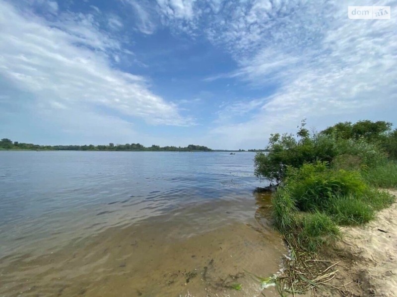 На Київщині незаконно “прихватизували” берег Дніпра вартістю понад 300 млн грн – що вирішив суд