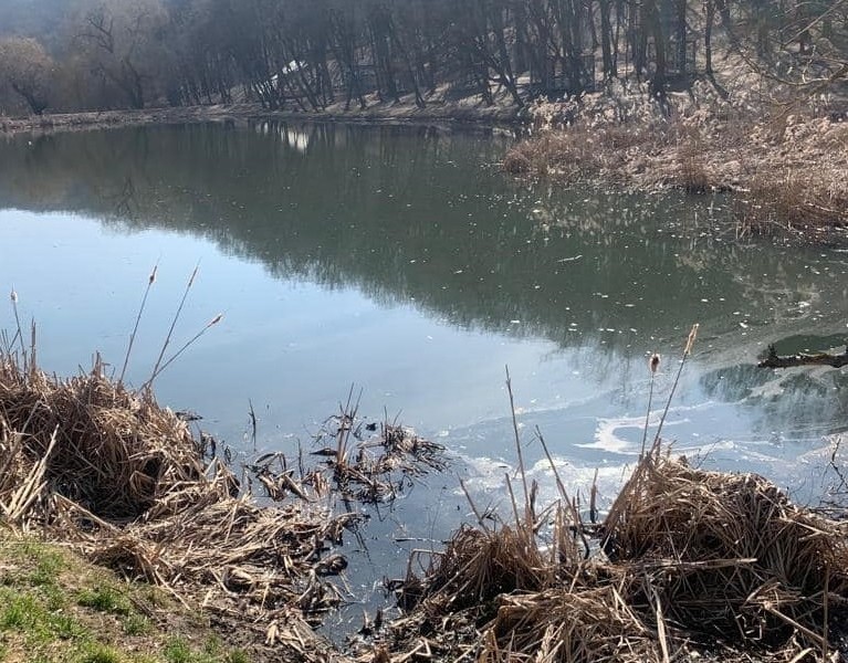 У Горіхуватських ставках “зашкалює” кількість забруднюючих речовин у воді
