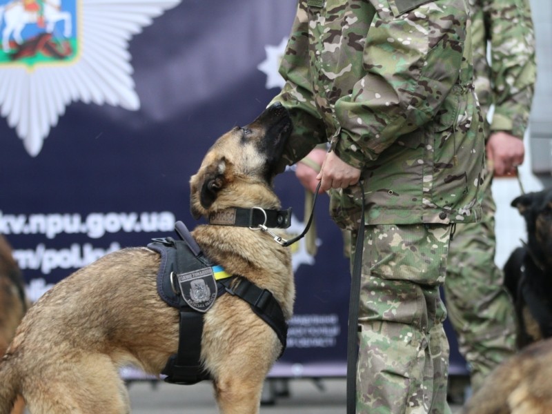 11 шукачів вибухівки: Фонд Баффета передав поліції Київщини службових собак