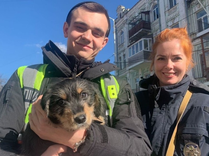 Морила голодом і поїла горілкою: у Києві поліцейські врятували собаку
