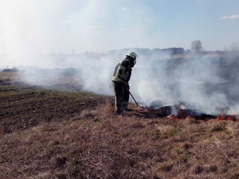 Продовжують палити траву: на Київщині загасили 66 пожеж