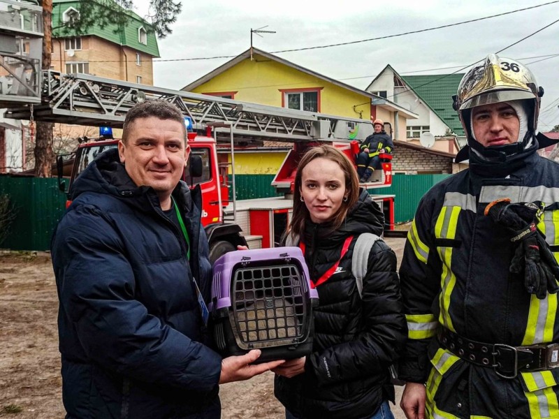 На Київщині врятували кота, який три доби просидів на дереві
