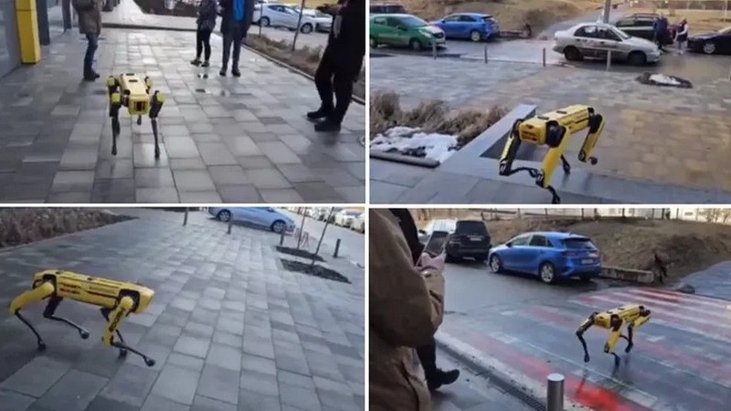 Конкуренція Патрону: на вулицях Києва помітили робособаку