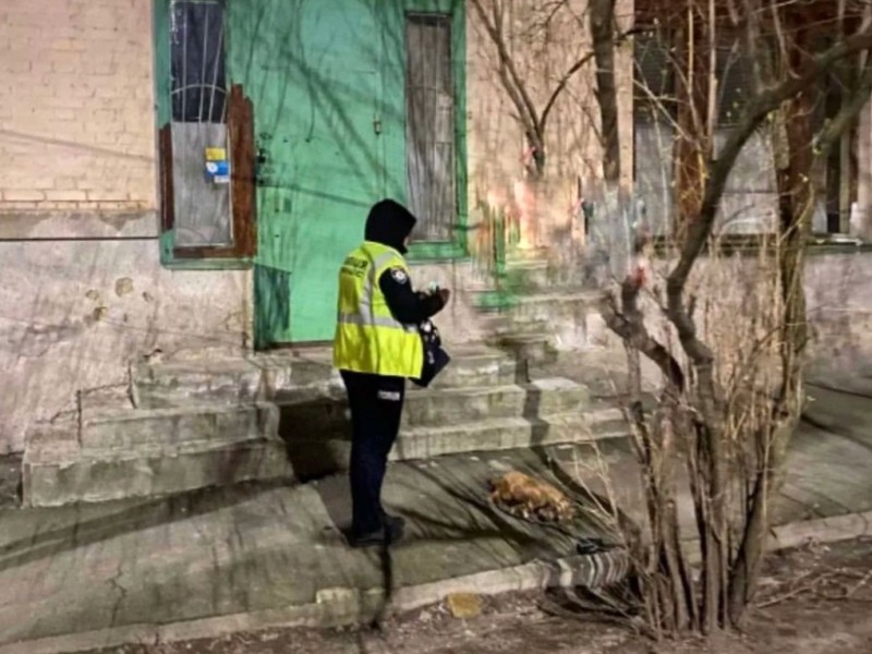 Тепер загрожує покарання: у Києві собаку викинули з вікна багатоповерхівки