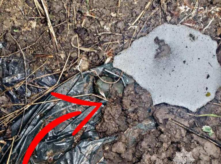 На Київщині біля траси знайшли гранату