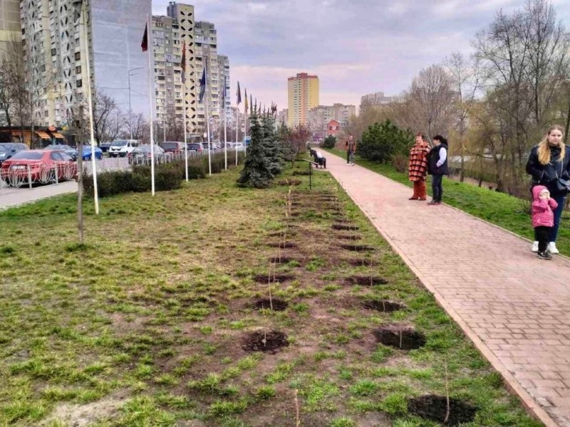 У Києві висадили алею бузку на честь полеглого воїна