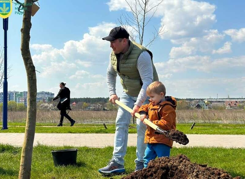У Київській області на честь загиблих Героїв висадили алею дерев