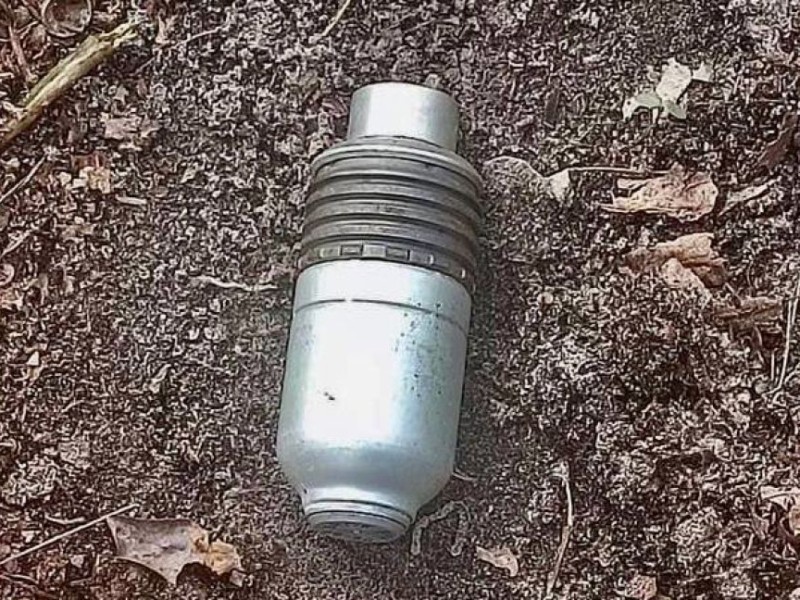 На Київщині собака знайшов гранату до підствольного гранатомету