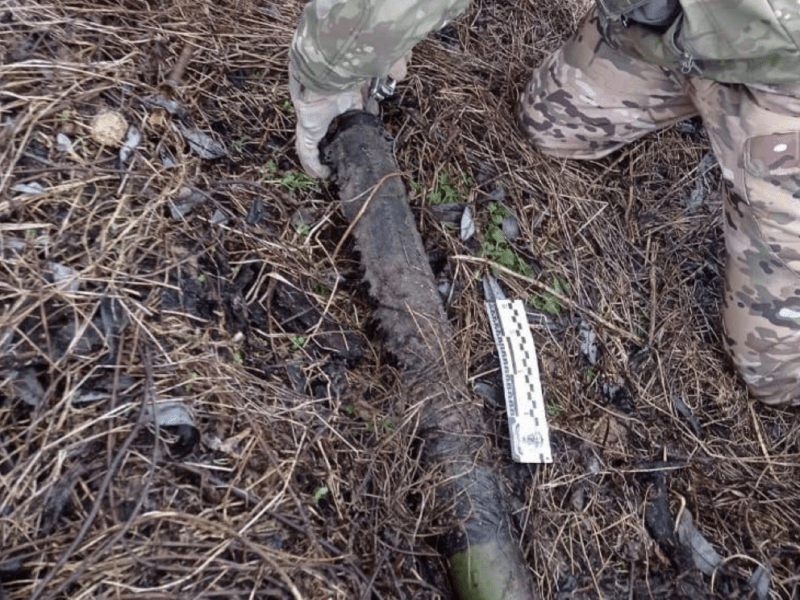 Пішов через ліс та ледь не загинув: чоловік натрапив на протитанкову гранату на Київщині