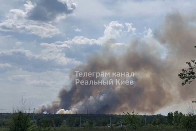 Під Києвом спалахнула масштабна пожежа