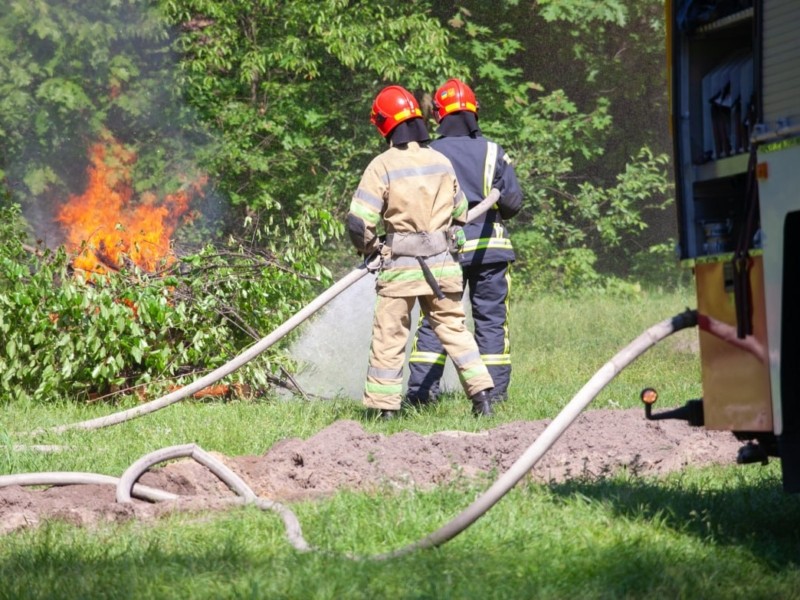 Необережне поводження з вогнем та підпали спричинили десятки пожеж в екосистемах Києва