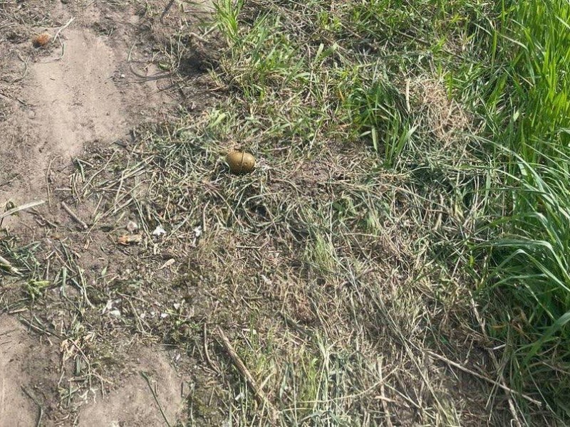 Мешканець Київщини косив траву і натрапив на гранату