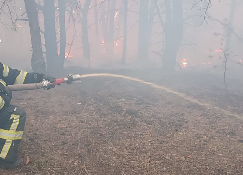 Рятувальники розповіли про масштаб лісової пожежі під Києвом та показали фото і відео (ОНОВЛЕНО)