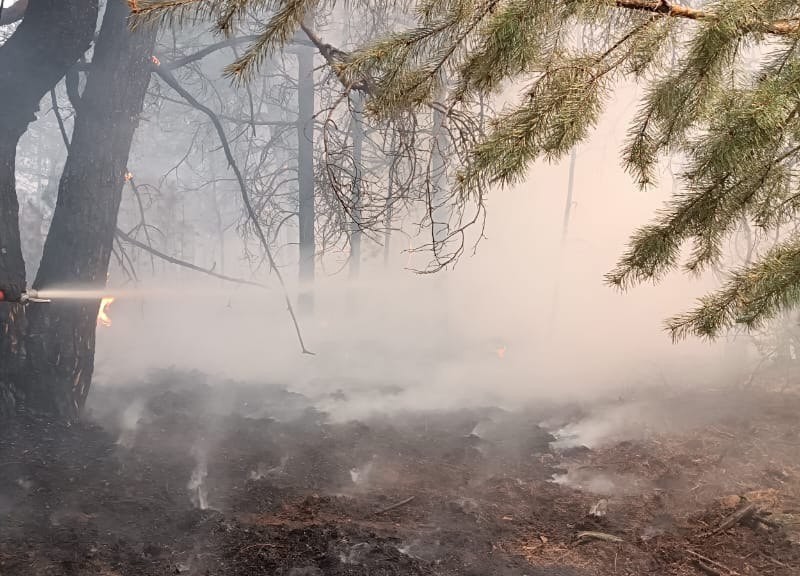 У Києві і області переважатиме надзвичайний рівень пожежної небезпеки