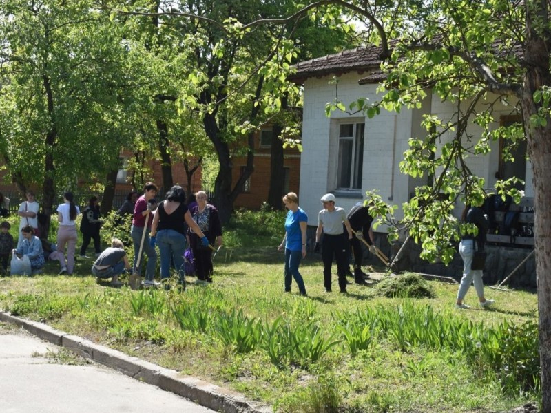 У Пирогово висадили калиновий гай