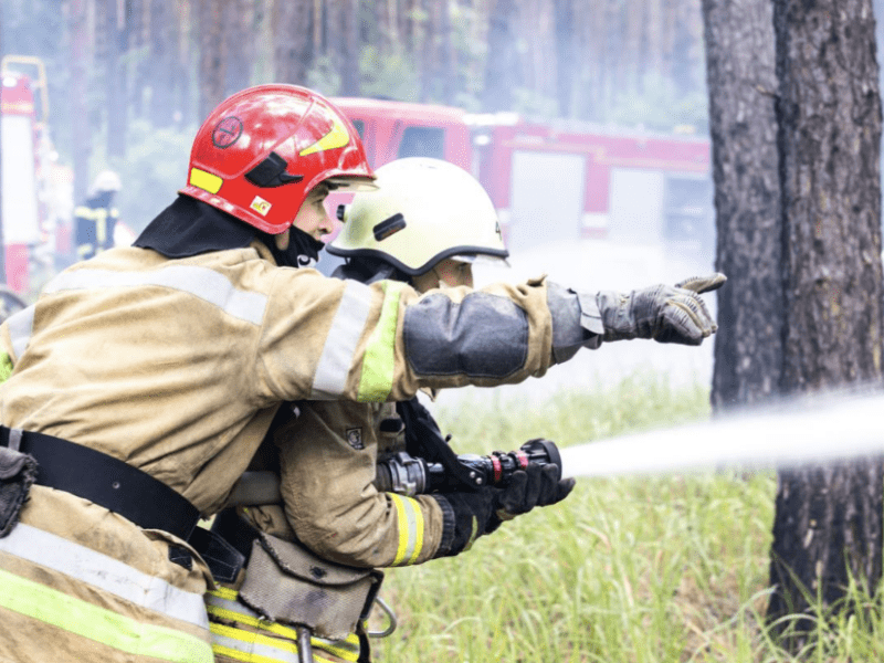 Надзвичайний рівень пожежної небезпеки у Києві: для містян діє низка заборон