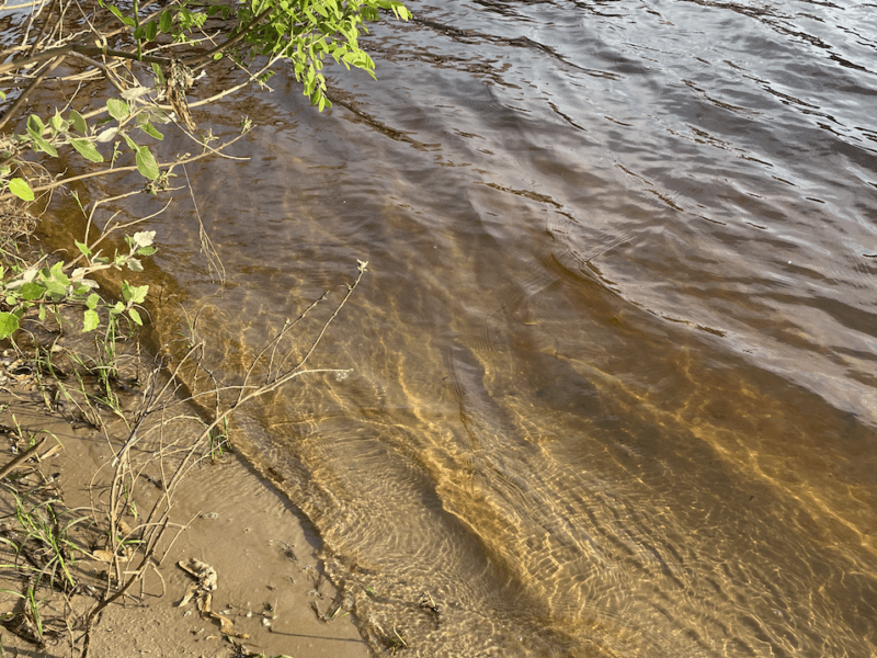 Паводок у Києві: що наразі відомо про рівень води у Дніпрі
