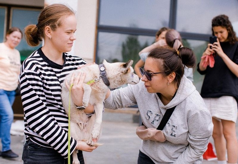 Центр адопції Patron Pets Center на ВДНГ надає допомогу та прихисток тваринам з Херсонщини