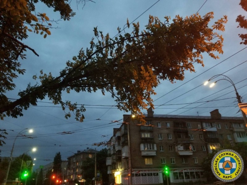 Гілка аварійного дерева впала на лінію електропередачі на Солом’янці