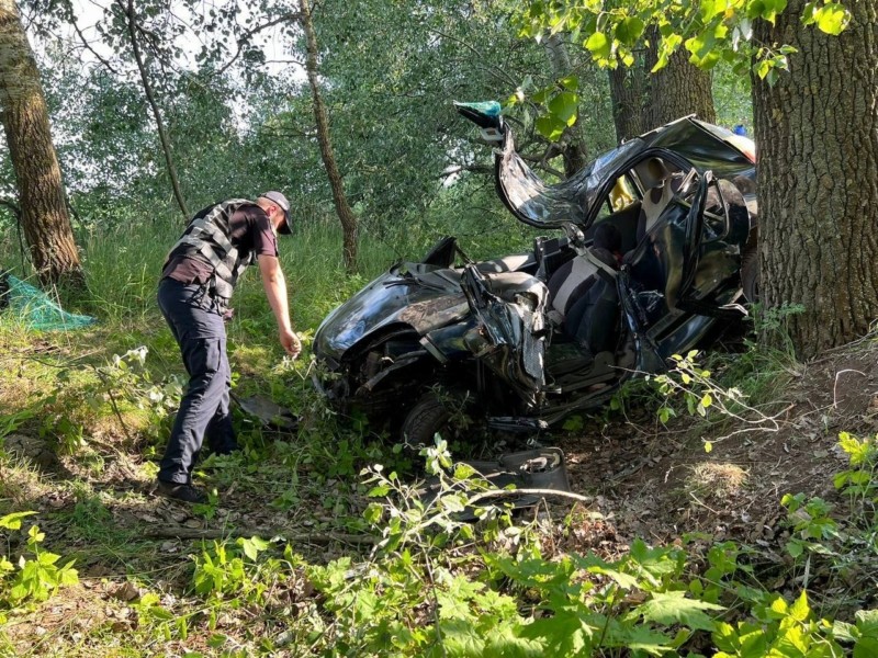 На Київщині авто зіткнулось з деревом: водійка загинула, постраждали четверо дітей