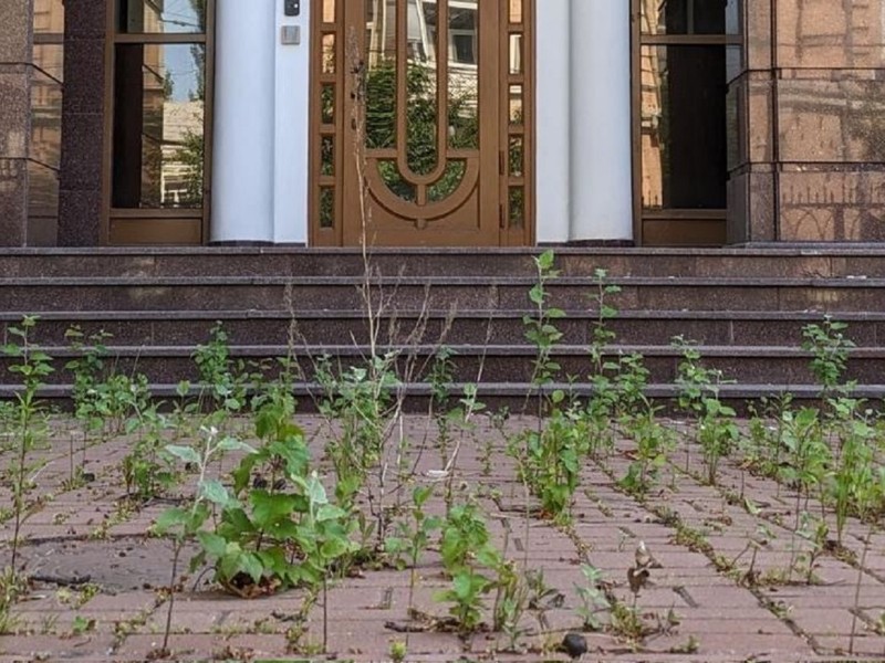 Заросло бур’янами: вигляд входу до білоруського посольства в Києві відображає відносини з сусідом