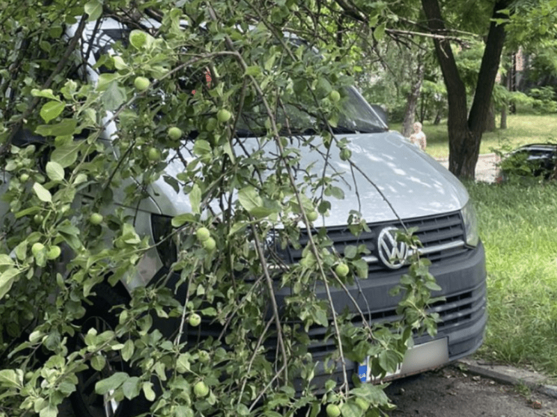 На Берестейському проспекті дерево привалило мікроавтобус (фото)