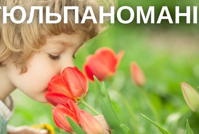 Дітям розкажуть про тюльпаноманію: лекція про неймовірну любов до квітки