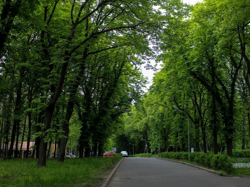 У Києві парк імені Пушкіна перейменовано на честь українського письменника