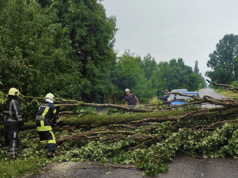 Негода наробила лиха: у Білоцерківському районі дерево впало на будинок (фото)