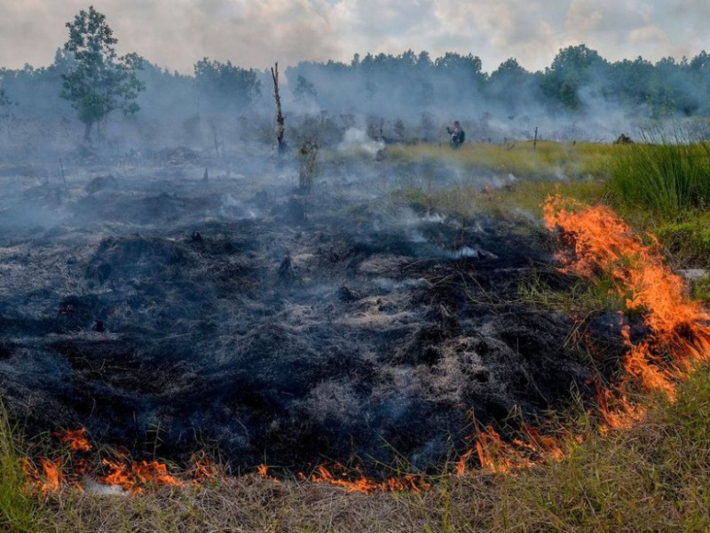 Обережно з вогнем: у Києві і області попереджають про підвищену небезпеку пожеж