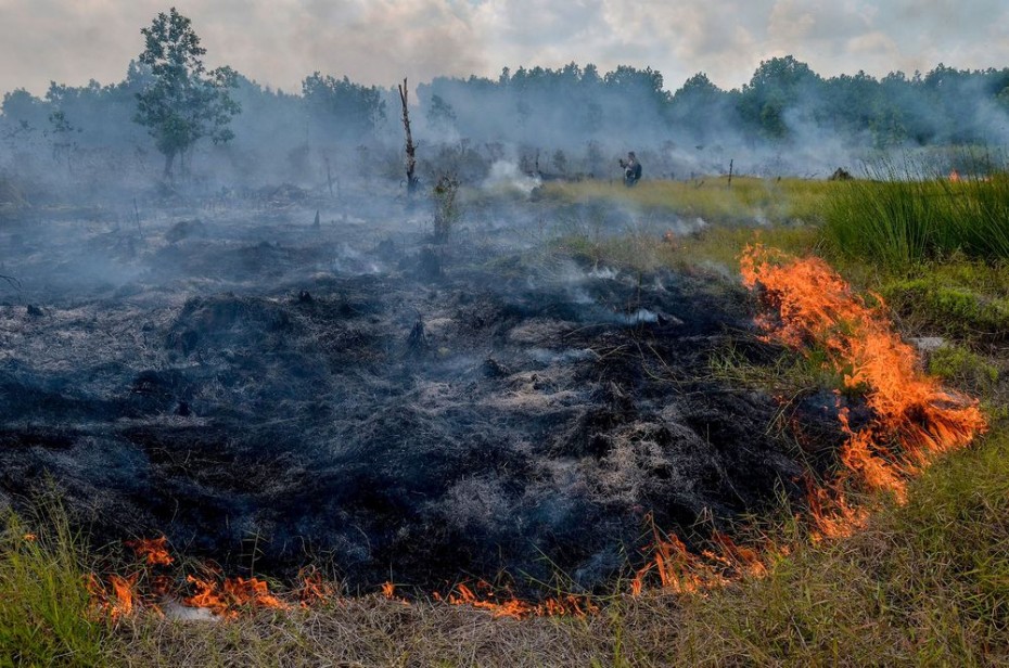 На Київщині другу добу гасять масштабну пожежу на торф’яниках