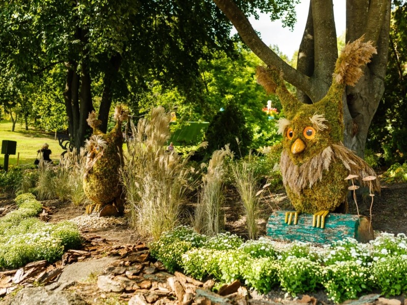 Понад 10 тисяч хризантем: у парку “Співоче” з’явився “Магічний сад” з казковими фотозонами