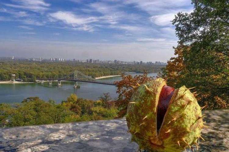 У столиці із двотижневим запізненням розпочалась метеорологічна осінь