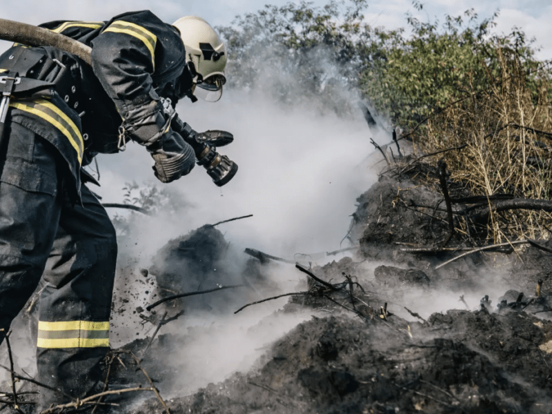 Масштабна пожежа на Оболоні: у місті горіло 500 «квадратів» трав’яного настилу (відео)