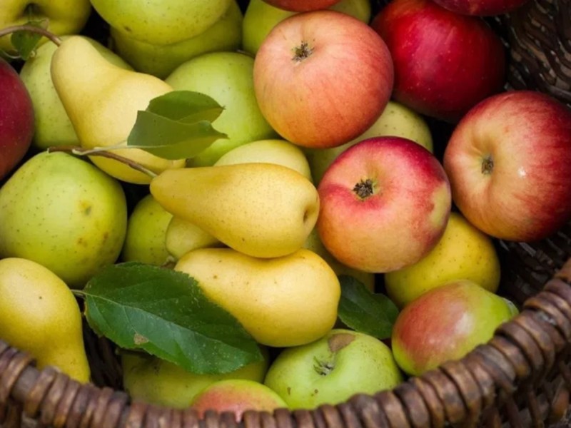 Столичні супермаркети різко знизили ціни на виноград, яблука та груші