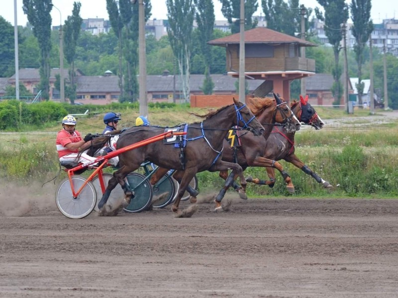 На Київському іподромі відбудуться змагання коней рисистих порід