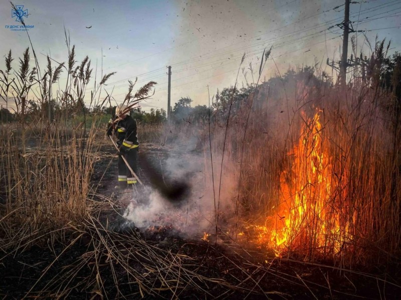 На Київщині горіло 14 гектарів очерету: рятувальники усю ніч захищали від вогню будинки