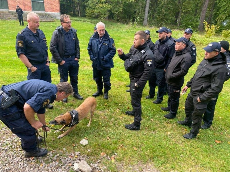 Кінологи навчаються у Швеції по програмі підготовки собак до пошуку тіл загиблих