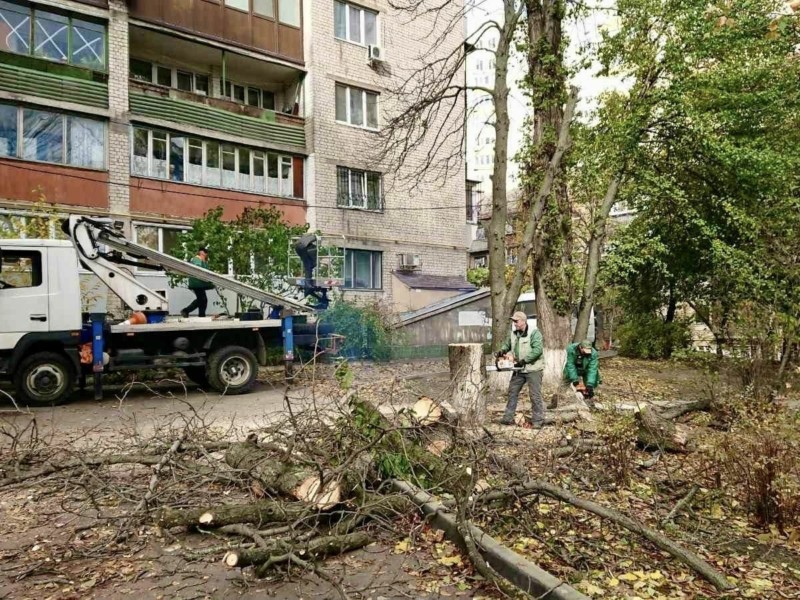 Буревій у Києві завдав нечуваної шкоди: комунальники назвали шокуючу цифру пошкоджених дерев