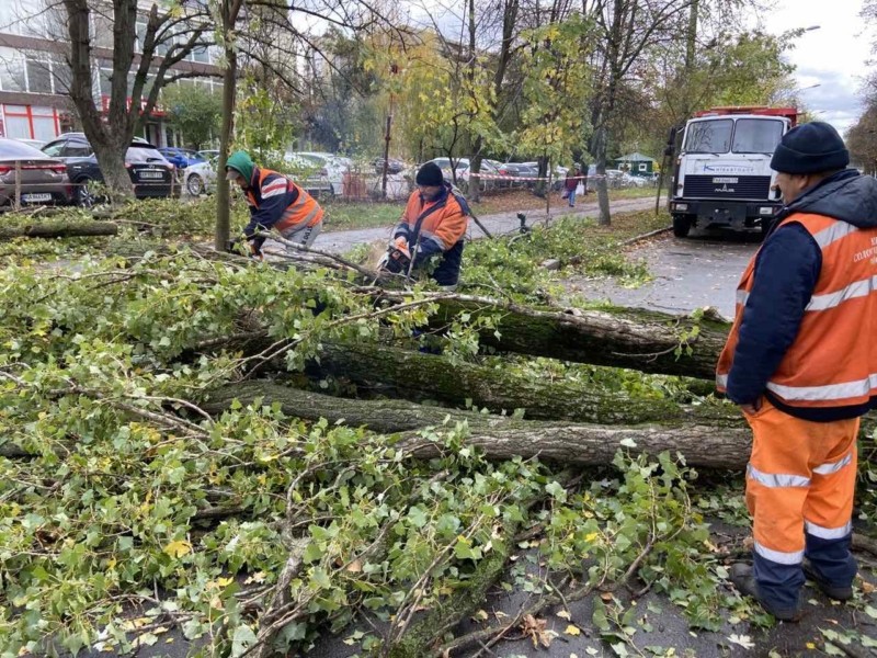 Негода у столиці: пошкоджено або повалено понад 780 дерев, усі дороги розчищено, тролейбусну контактну мережу – відновлено