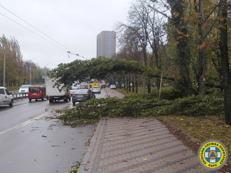 У столиці негода повалила близько 600 дерев