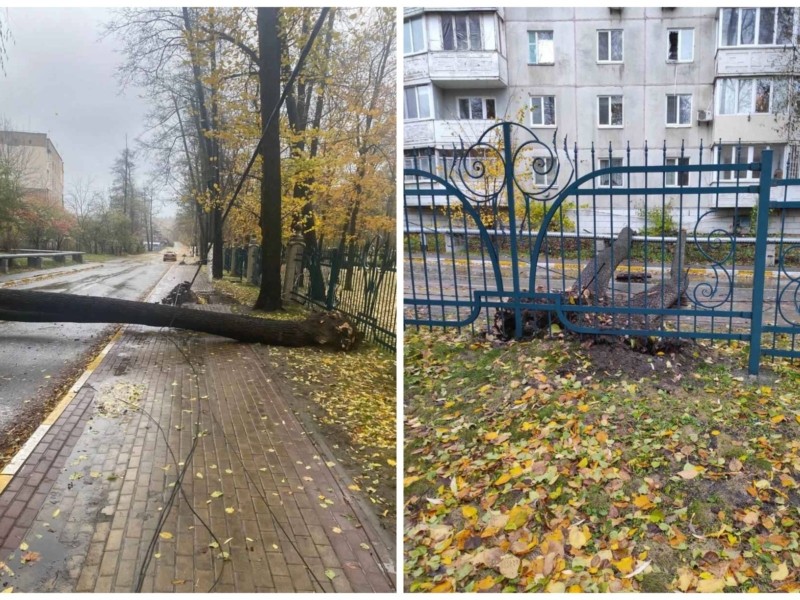 Буревій на Київщині: пошкоджено понад 100 ліній, без світла майже 90 тисяч родин