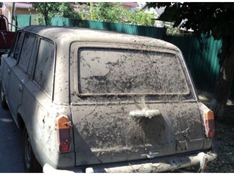 Унікум: на Київщині виявили автівку, яка простояла у гаражі 50 років