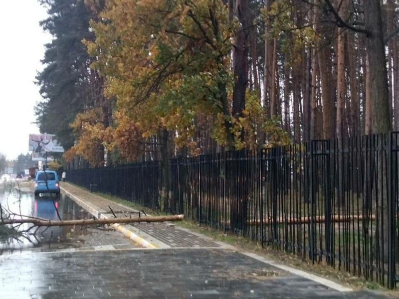 Рве електромережі і шкодить електрообладнання: в області через вітер пошкоджена 7 351 трансформаторна підстанція