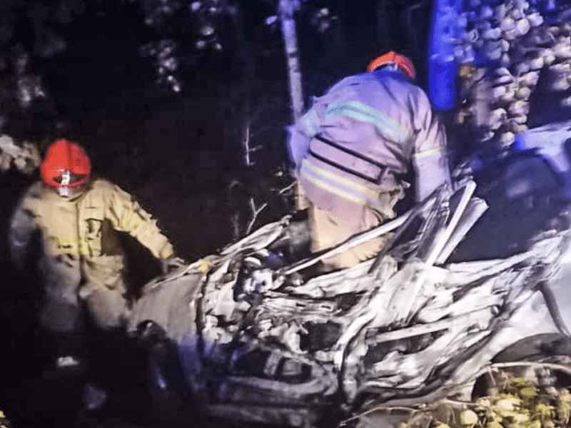Автівка злетіла в кювет: двоє людей загинули у ДТП на Київщині