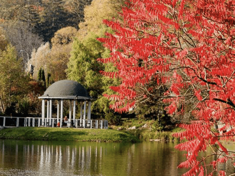 Топ столичних парків, які варто відвідати восени