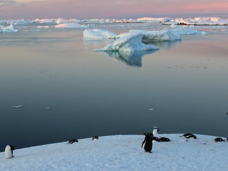 В Антарктиді тривають “білі ночі”: полярники показали як це виглядає (фото)