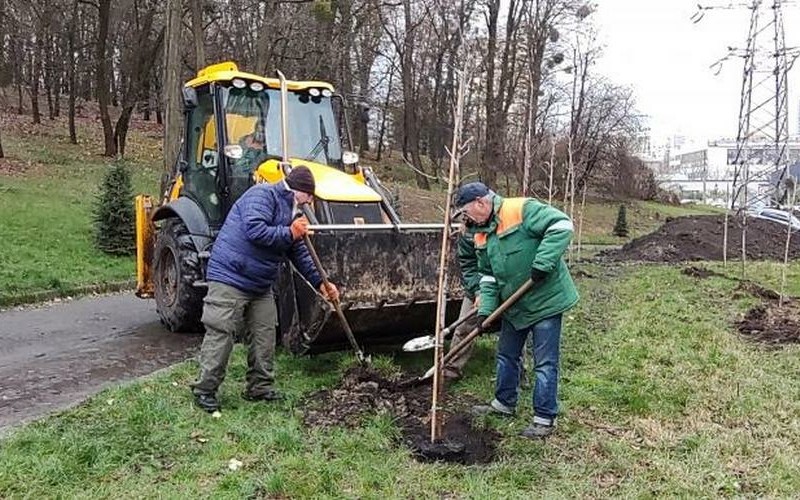 У Солом’янському ландшафтному парку розпочали висадку кленової алеї