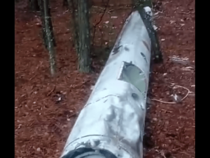 У лісі на Київщині грибники знайшли гігантську ракету
