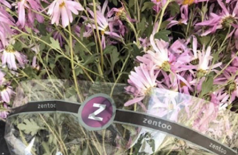 На могилу Столипіна у Лаврі принесли квіти із “Z”-символікою